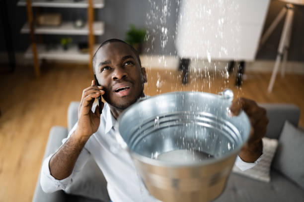Best Flooded house restoration  in Channahon, IL