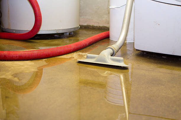 Best Sewage cleanup and water damage restoration  in Channahon, IL